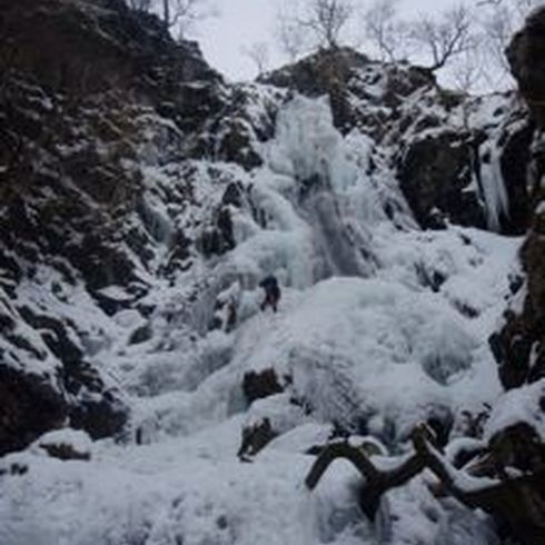 P 294 221 8A314B4B B173 4933 83F3 50932Ffaeeb4