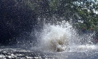 Ra Stag Mega Ghyll Beasley Falls4