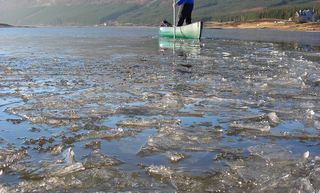 Ra Canoe Skills Poling Loch Sheil