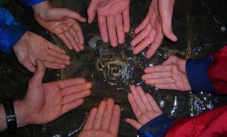 Environmental Course